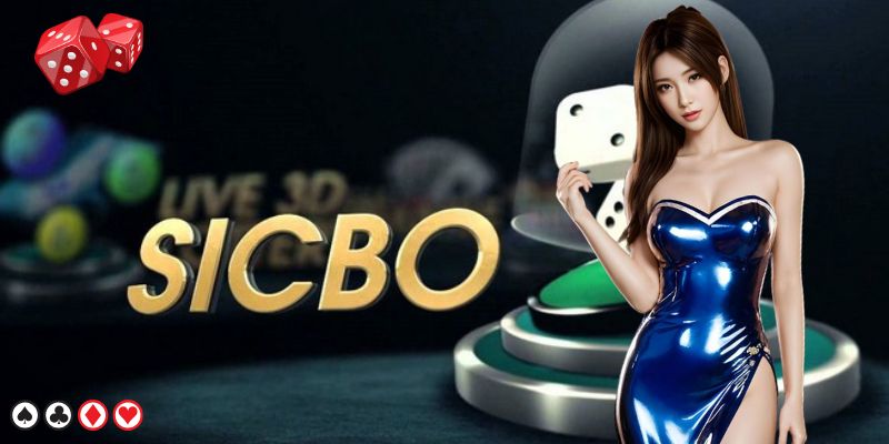 Hướng Dẫn Chơi Tài Xỉu W888 Chi Tiết Cho Người Mới Tại Nhà Cái Online